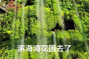 去新加坡旅游，可以順便逛逛這些景點(diǎn)