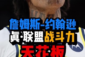 “NBA戰(zhàn)力天花板”！詹姆斯-約翰遜到底有多能打？全家都是黑帶！